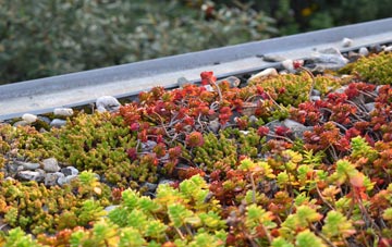 the cost of Mickleton green roof installation