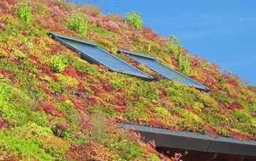 Mickleton living roof systems