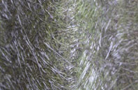 Mickleton fibreglass roof work